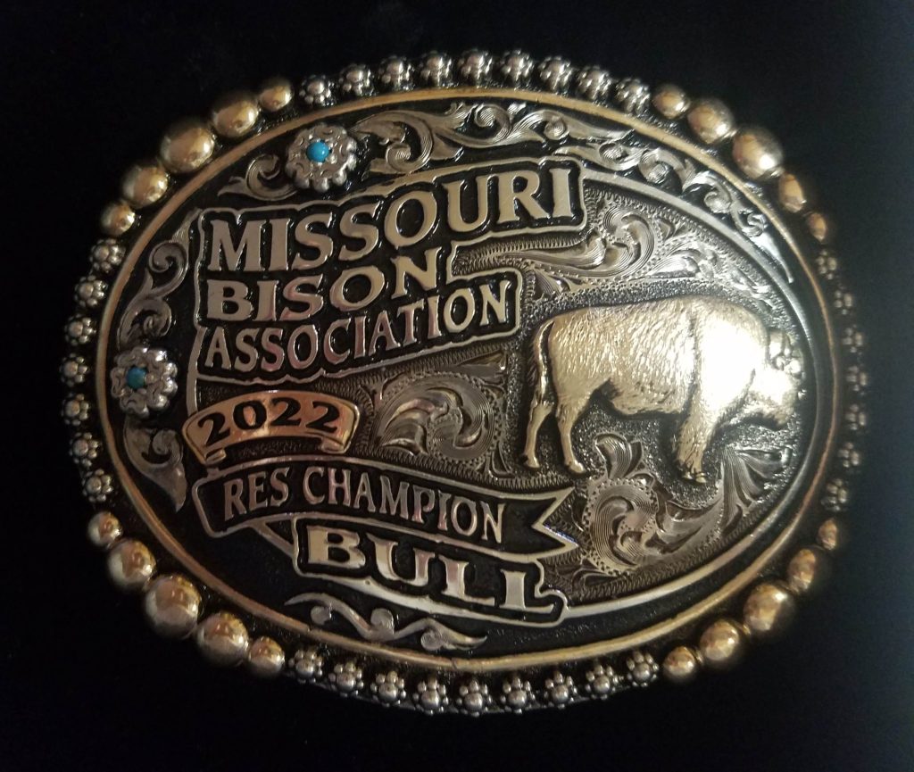 2022 Missouri Bison Association Grand Champion Bull buckle | Missouri Bison Association